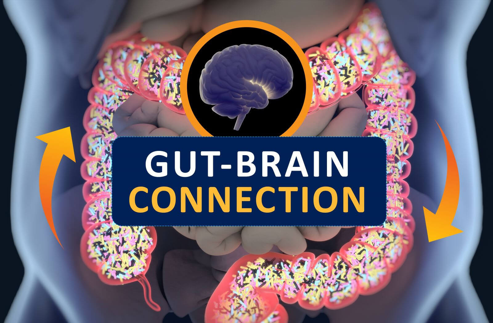 research on gut health and depression